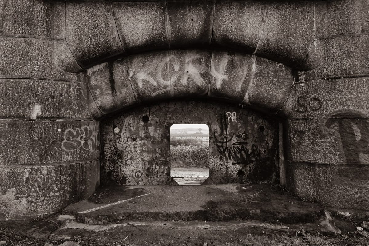 New exhibition explores the nearby natural environment