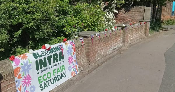 It’s Blooming Intra