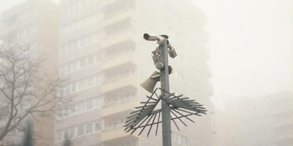 November Event Guide