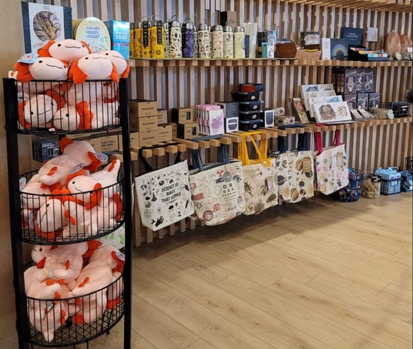 Plushies, pin badges, and carpal tunnel