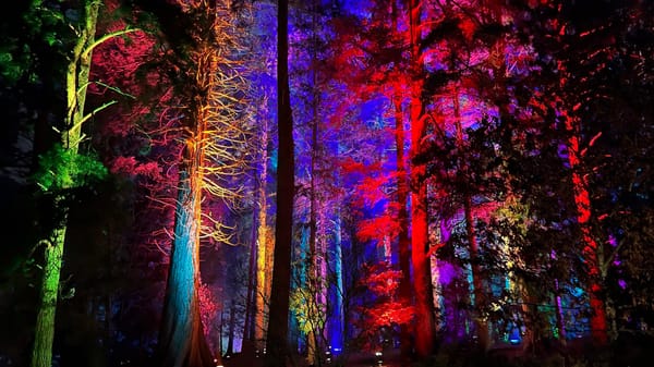 Bonus Authority: Vaccines, awards, lights, more