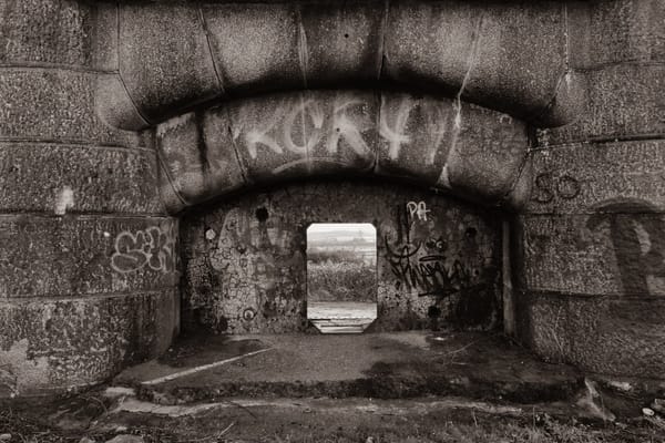 New exhibition explores the nearby natural environment